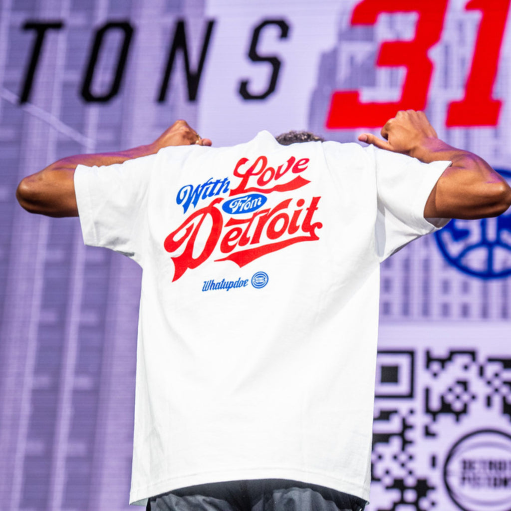 Detroit Lions Vs Everybody T-Shirt
