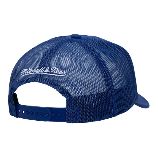 Detroit Pistons Mitchell & Ness Evergreen Trucker Hat in Blue - Back View