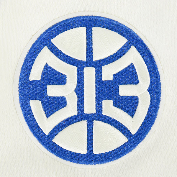 Detroit Pistons Pro Standard Modern Originals Crewneck Sweatshirt in White - Left Sleeve Detail View