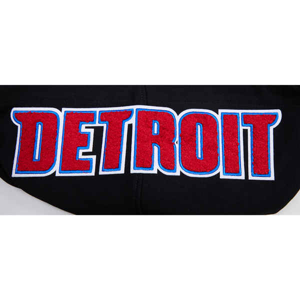 Pistons Pro Standard City Scape Hooded Sweatshirt in Black - Hood Graphic Zoom