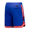 Pro Standard Pistons Chenille Short in Blue - Back View