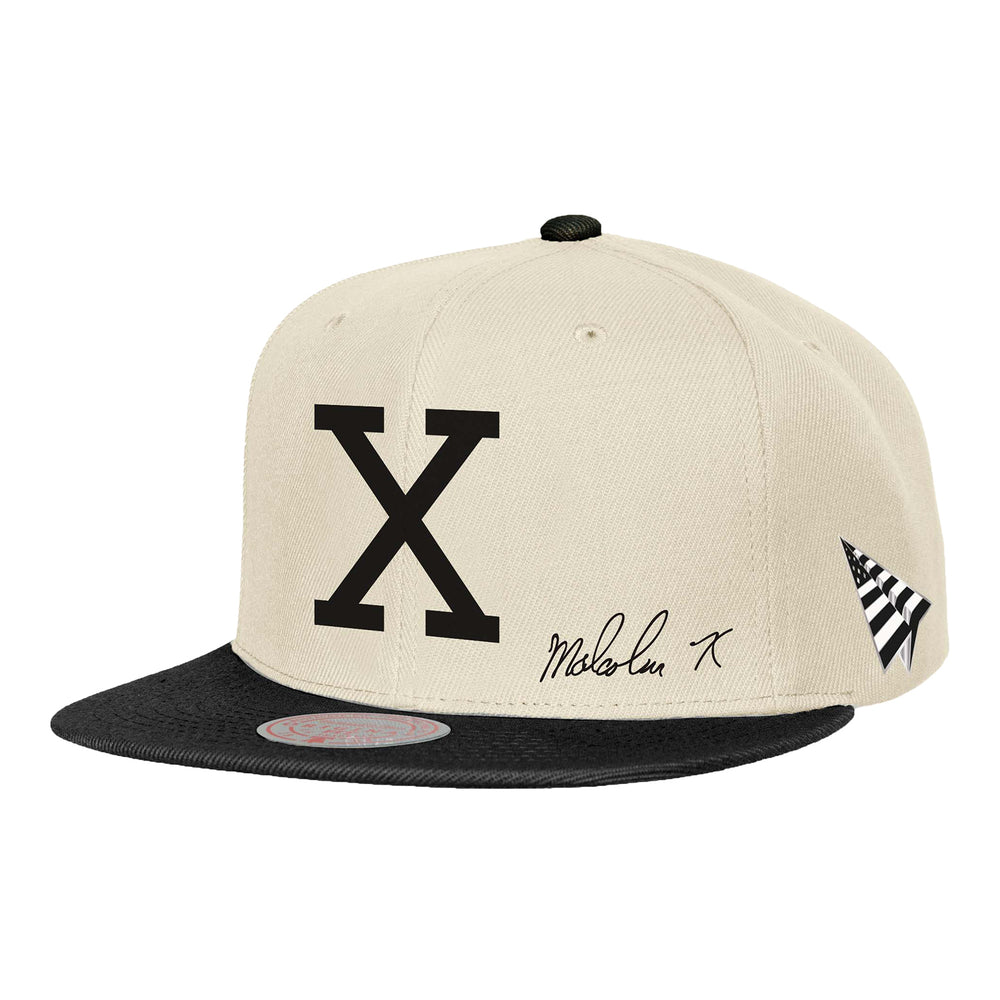 Detroit Pistons Malcolm X Two Tone Snapback