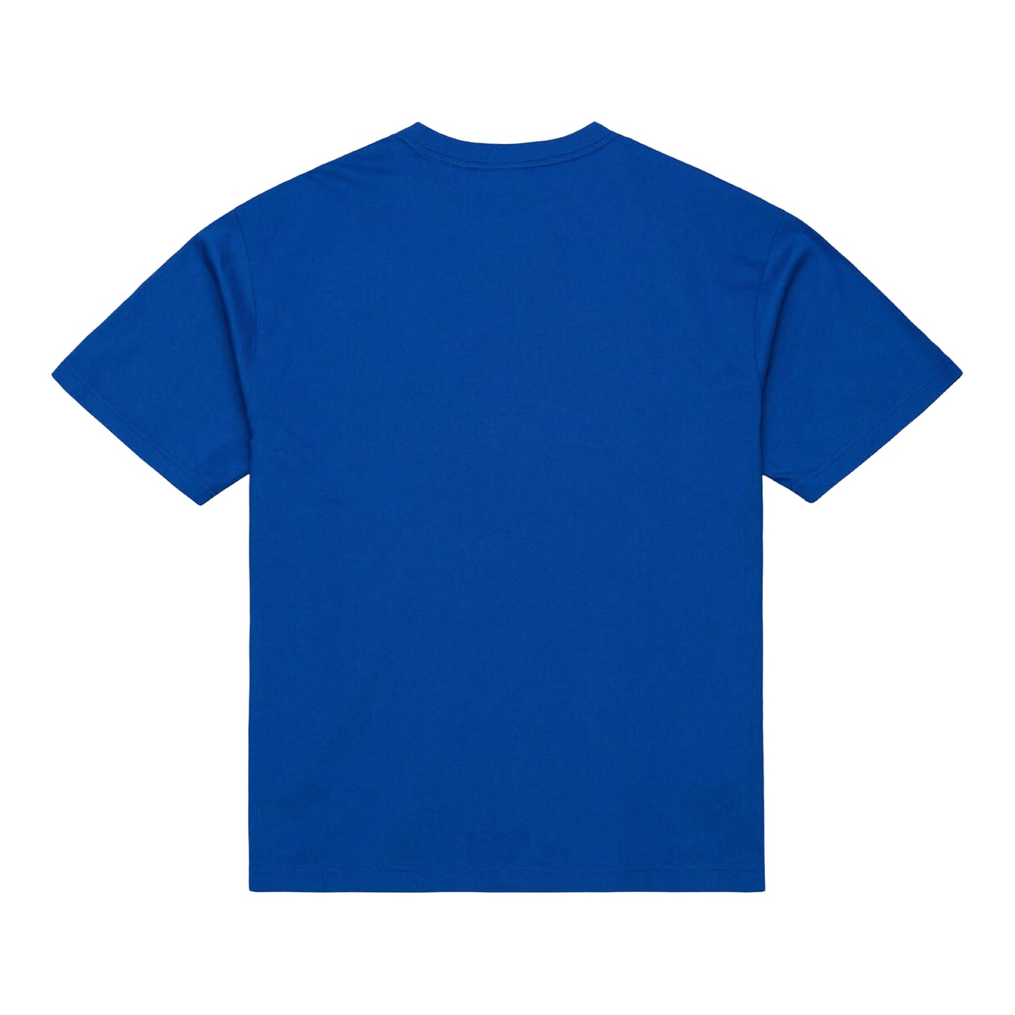 Detroit Pistons Mitchell & Ness Head Coach T-Shirt in Blue - Back View