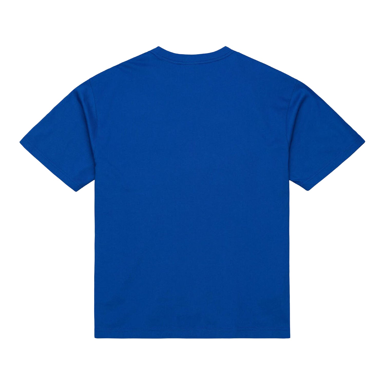 Detroit Pistons Mitchell & Ness Head Coach T-Shirt in Blue - Back View