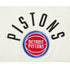 Detroit Pistons Pro Standard Modern Originals T-Shirt - Logo View