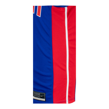 Nike Icon Swingman Jersey - 2021-24