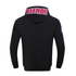 Pistons Pro Standard City Scape Hooded Sweatshirt in Black - Back View