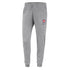 Ladies Nike Pistons Varsity Fleece Jogger Sweatpants in Gray - Front View