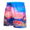 Pistons Pro Standard City Scape Shorts in Multi - Angled Left Side View