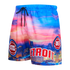 Pistons Pro Standard City Scape Shorts in Multi - Angled Left Side View