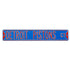 Detroit Pistons Steel Detroit Pistons Ct Street Sign in Blue and Red - Front View